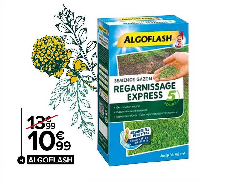 semence gazon regarnissage express algoflash