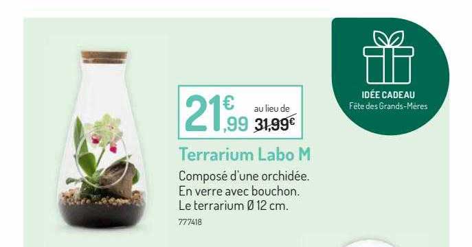 terrarium labo m