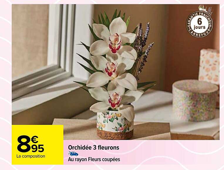 orchidée 3 fleurons