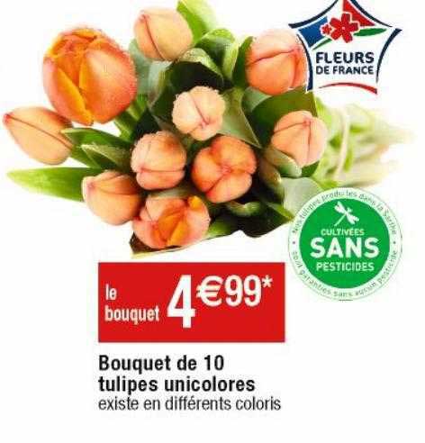 Bouquet De 10 Tulipes Unicolores