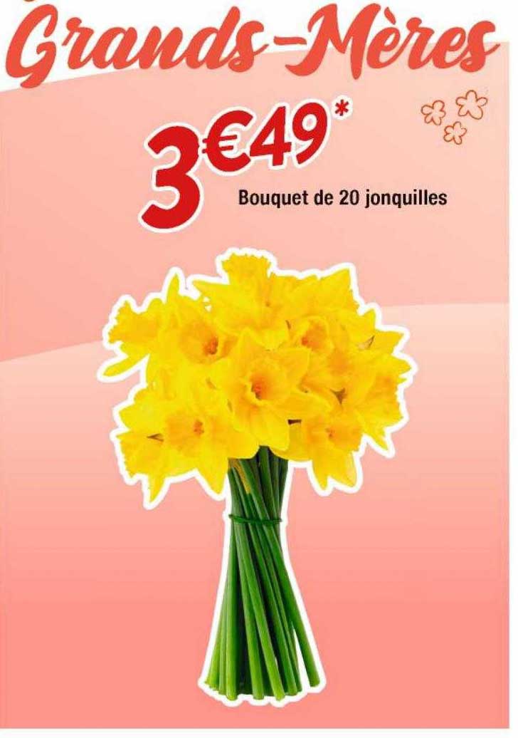 Bouquet De 20 Jonquilles