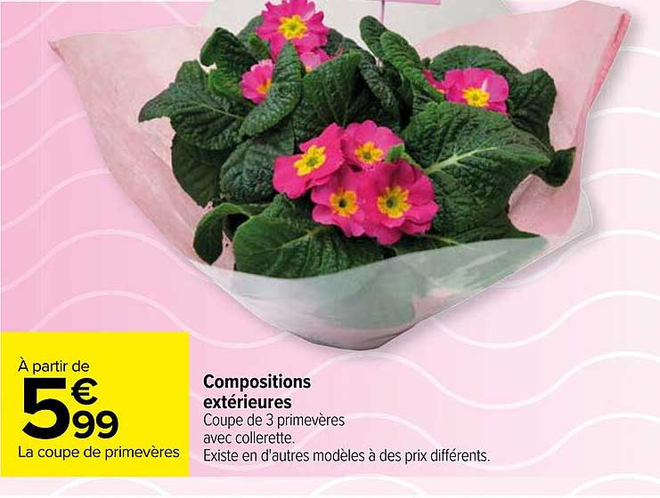 compositions extérieur