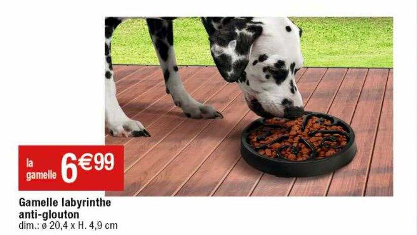 gamelle labyrinthe anti-glouton