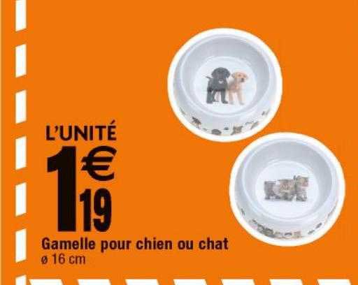 Gamelle Pour Chien Ou Chat