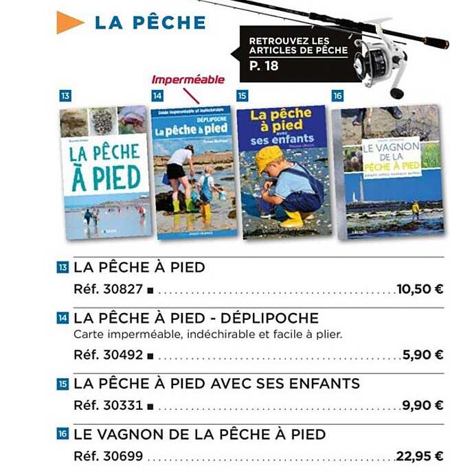 la pêche à pied, la pêche à pied - déplipoche, la pêche à pied avec ses enfants, le vagnon de la pêche à pied