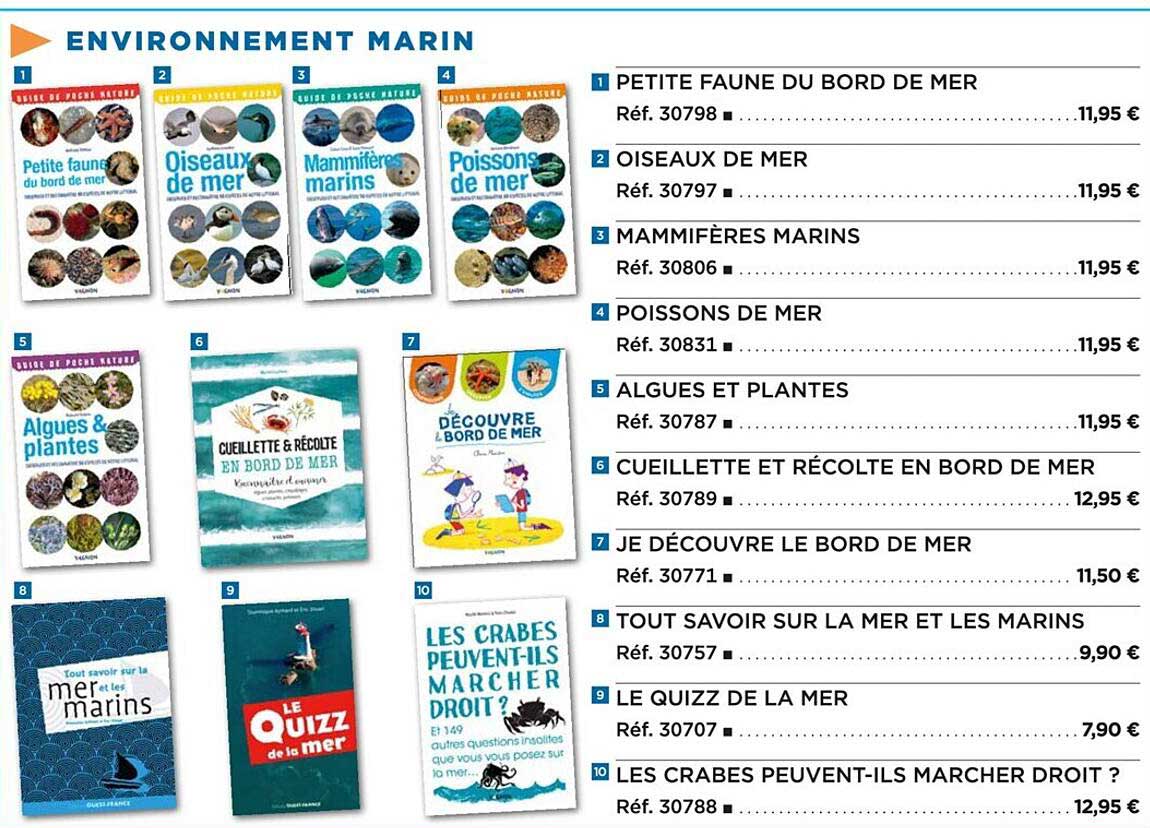 petite faune du bord de mer, oiseaux de mer, mammifères marins, poissons de mer, algues et plantes, cueillette et récolte en bord de mer, je découvre le bord de mer, tout savoir sur la mer