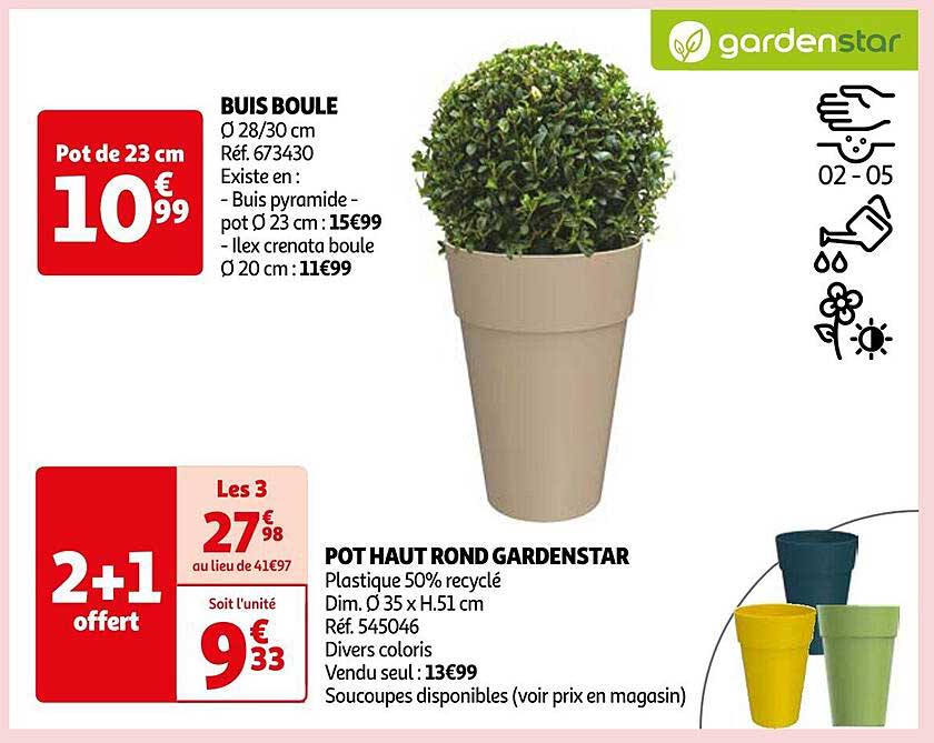 Buis Boule, Pot Haut Rond Gardenstar