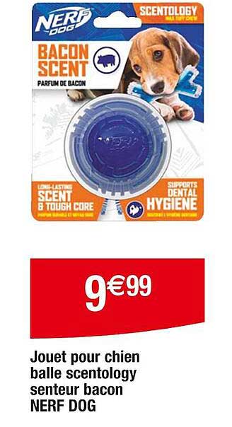 jouet pour chien balle scentology senteur bacon nerf dog