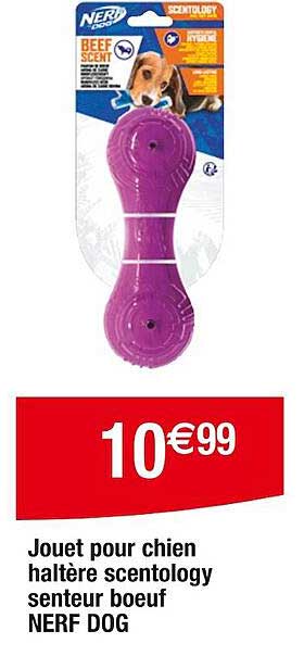 jouet pour chien haltère scentology senteur boeuf nerf dog