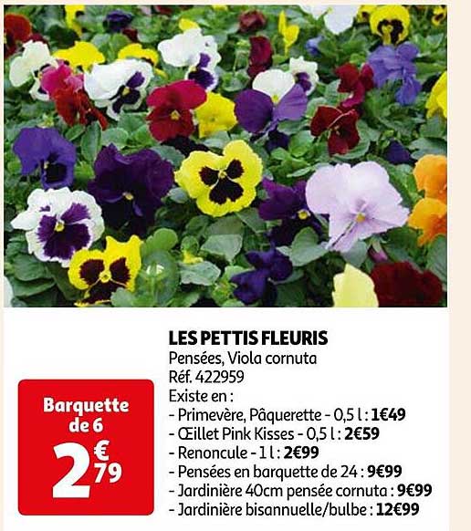 les pettis fleuris