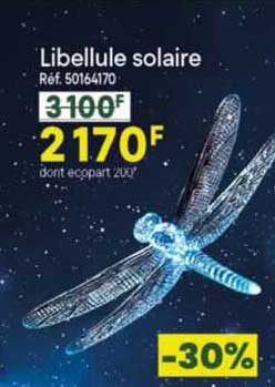 libellule solaire
