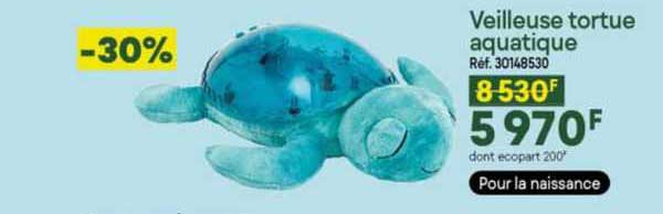 veilleuse tortue aquatique