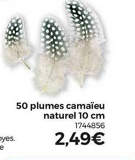 50 plumes camaïeu naturel 10cm