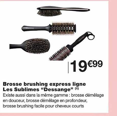 brosse brushing express ligne les sublimes "dessange"