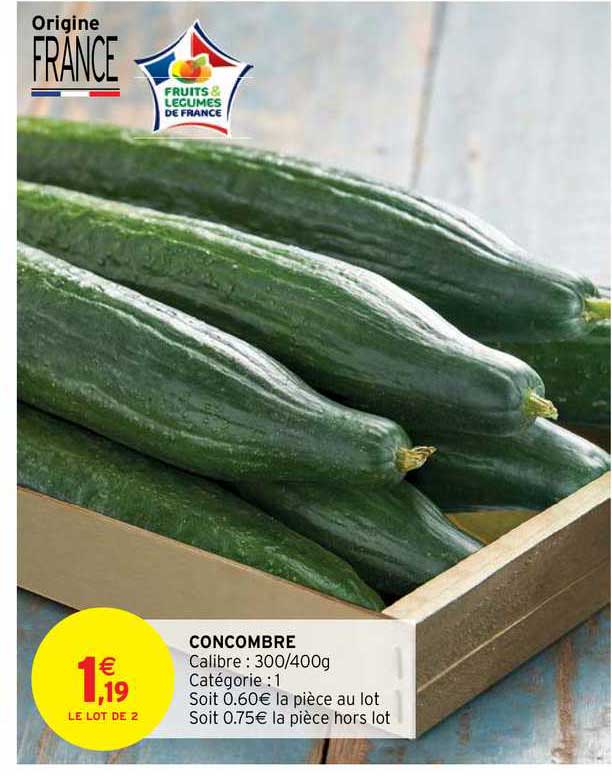 Concombre