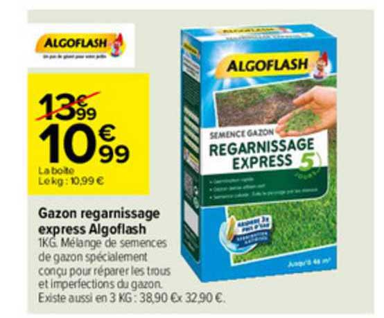 Gazon Regarnissage Express Algoflash