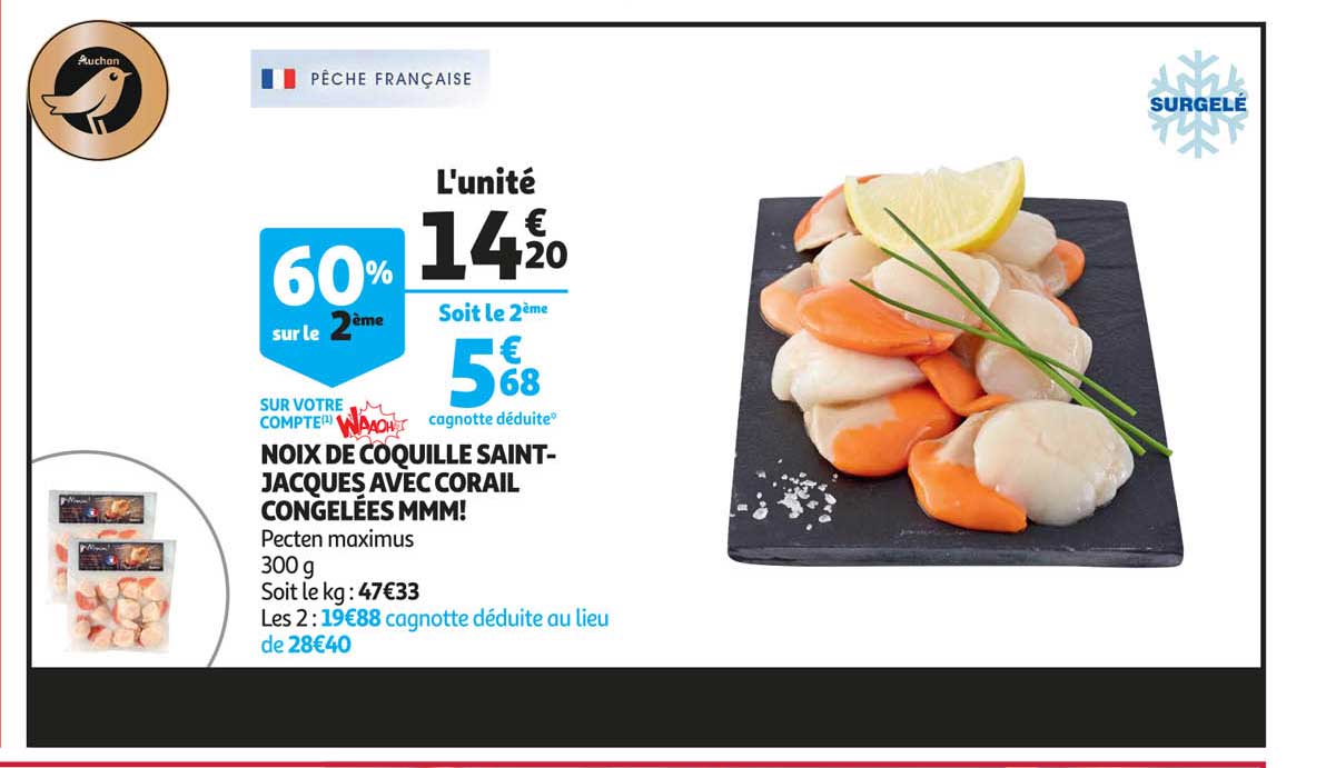 Noix De Coquille Saint-jacques Avec Corail Congelées Mmm!