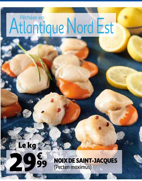 noix de saint-jacques