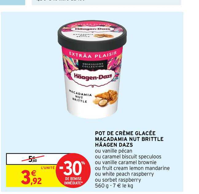 pot de crème glacée macadamia nut brittle häagen dazs