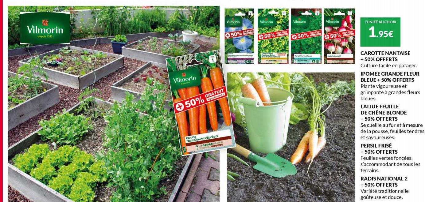 carotte nantaise + 50% offerts, ipomee grande fleur blue + 50% offerts, laitue feuille de chêne blonde + 50% offert, persil frisé + 50% offerts, radis national 2 + 50% offerts