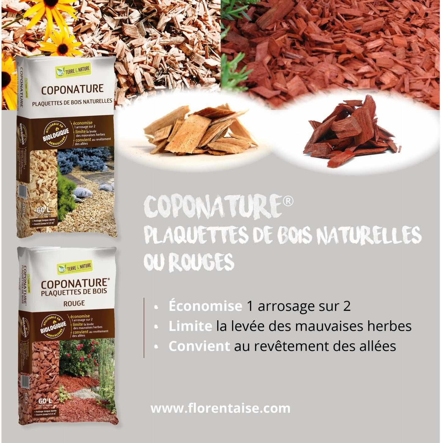 Coponature Plaquettes De Bois Naturelles Ou Rouge