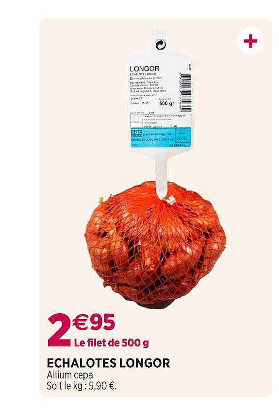 échalotes longor