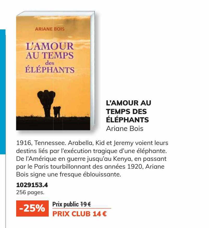 l'amour au temps des éléphants - ariane bois