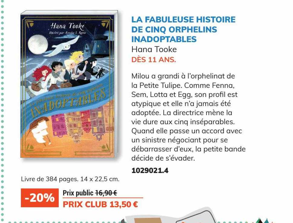 la fabuleuse histoire de cinq orphelins inadoptables hana tooke