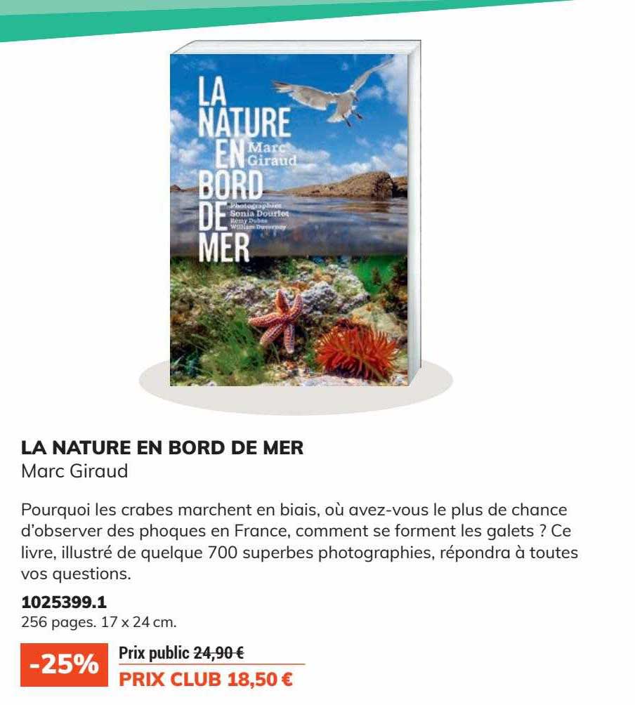 la nature en bord de mer marc giraud
