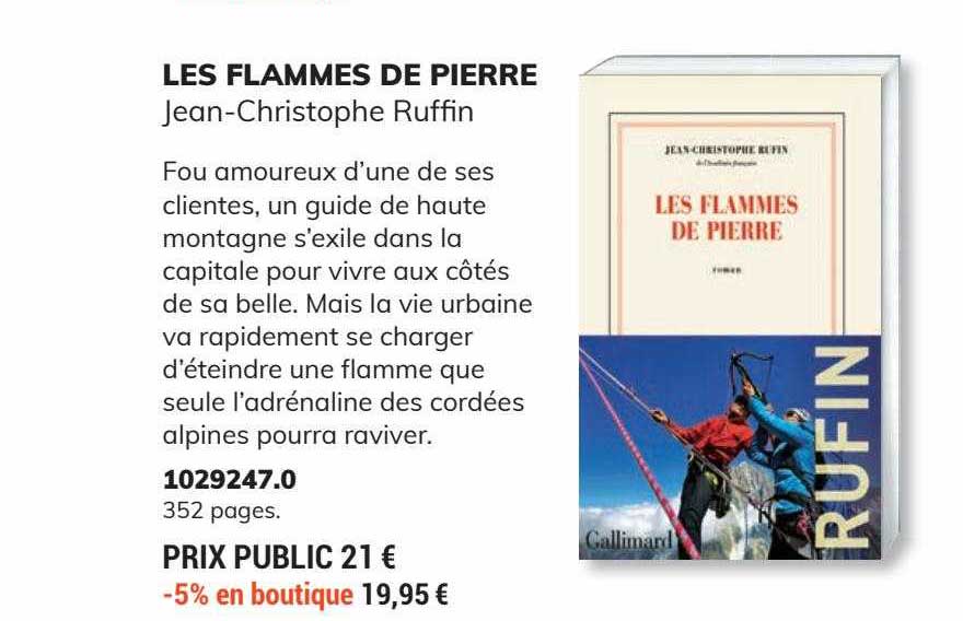 les flammes de pierre - jean-christophe ruffin