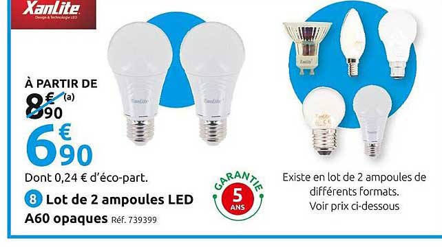 lot de 2 ampoules led a60 opaques