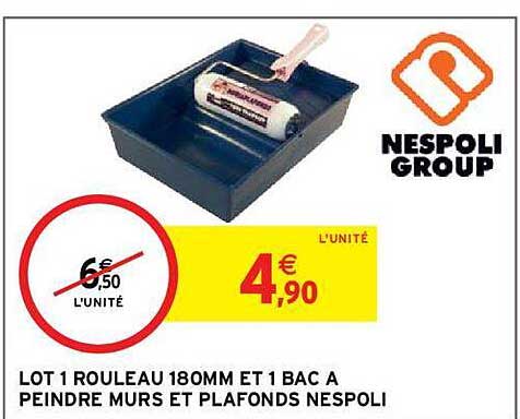 Lot De Rouleau 180mm Et 1 Bac A Peindre Murs Et Plafonds Nespoli
