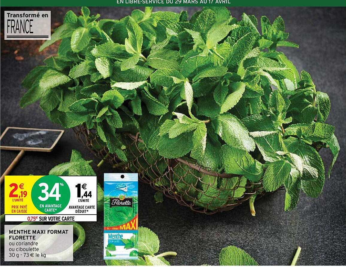 menthe maxi format florette