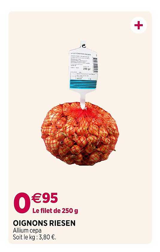oignons riesen