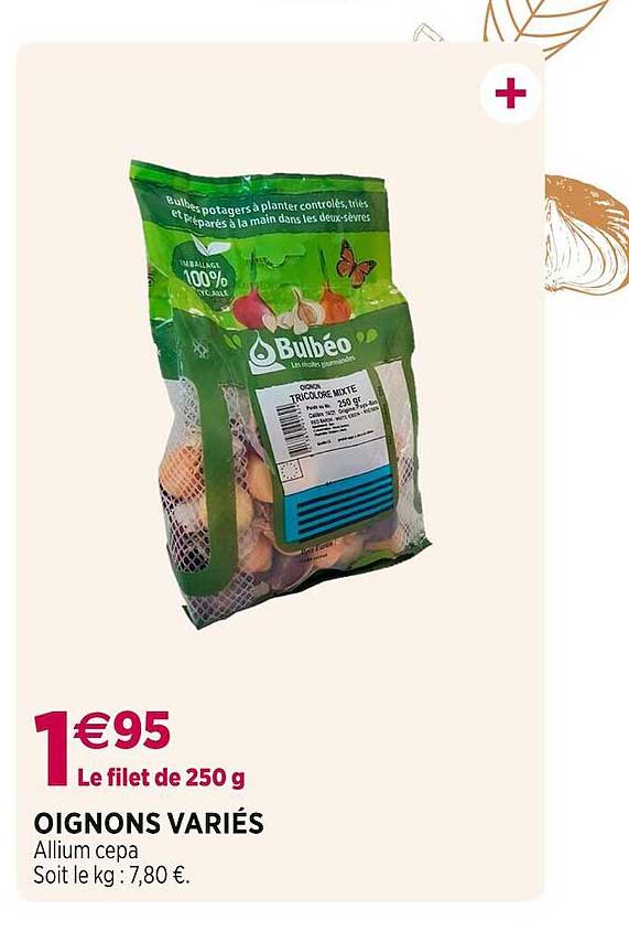 oignons variés