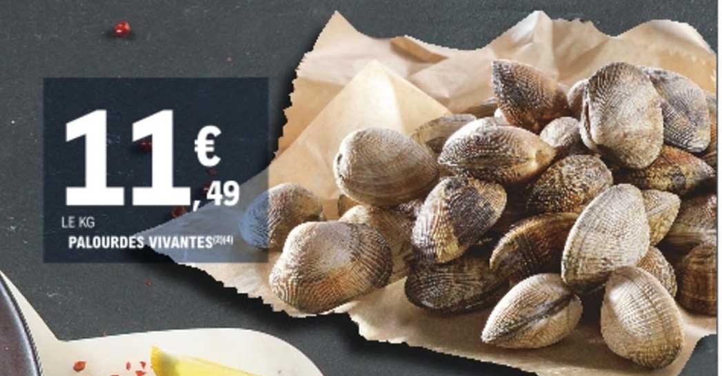 Palourdes Vivantes