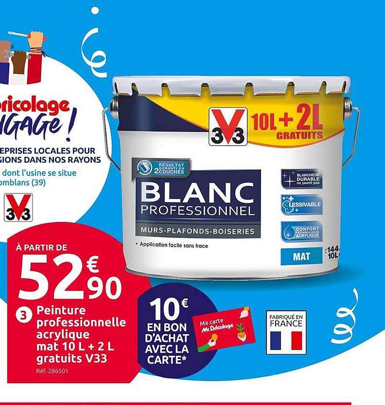 peinture professionnelle acrylique mat 10 l + 2 l gratuits v33