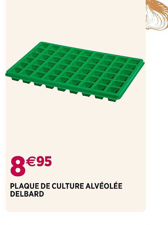 plaque de culture alvéolée delbard