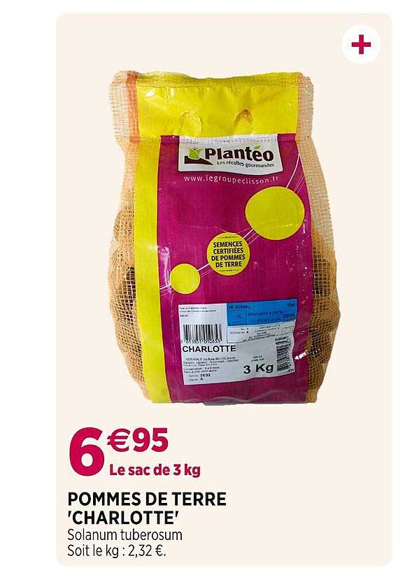 pommes de terre "charlotte"
