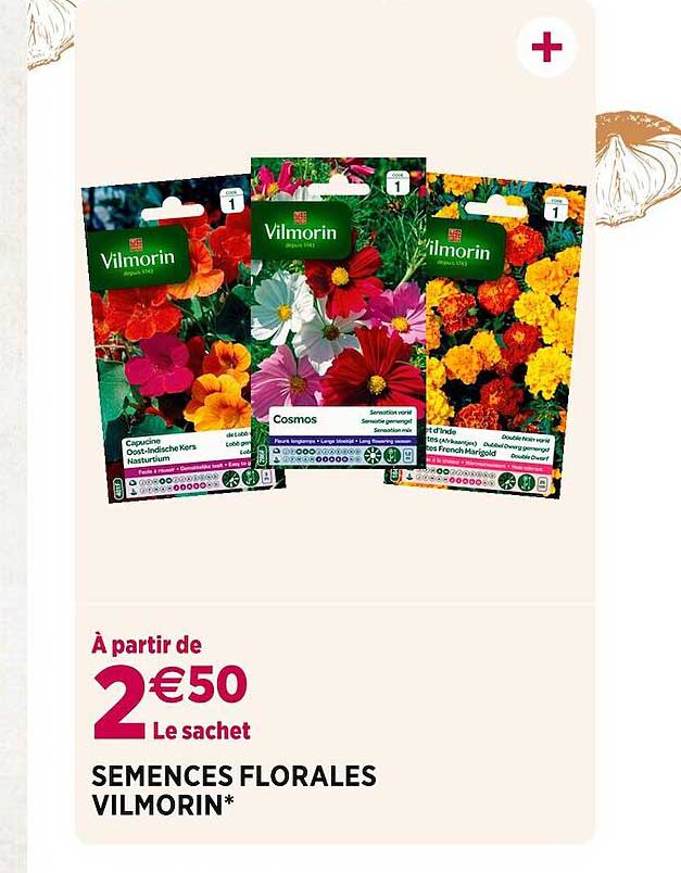 semences florales vilmorin