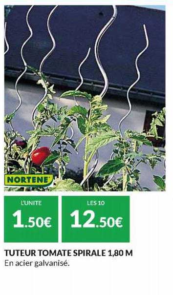 Tuteur Tomate Spirale 1,80 M Nortene