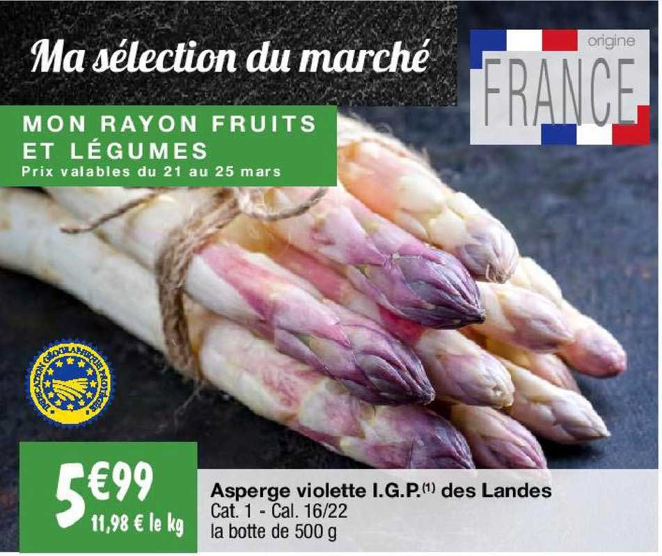 asperge violette i.g.p. des landes