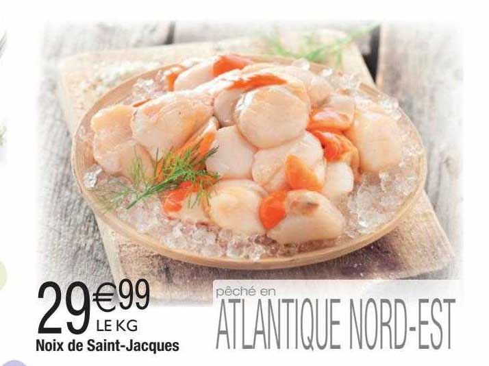 noix de saint-jacques