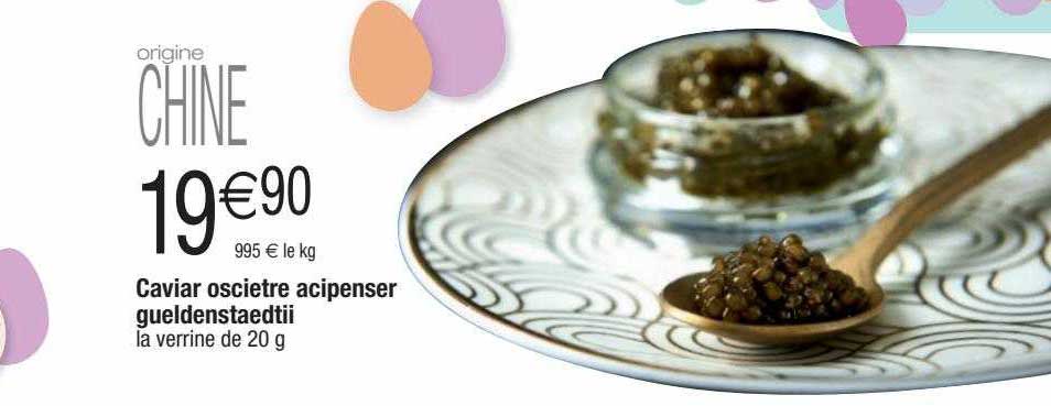 Caviar Oscietre Acipenser Gueldenstaedtii