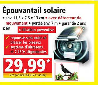 épouvantail Solaire