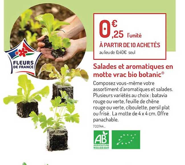 salades et aromatiques en motte vrac bio botanic