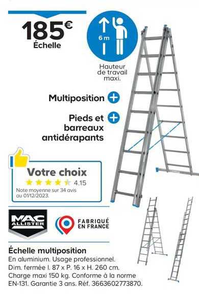 échelle multiposition mac allister