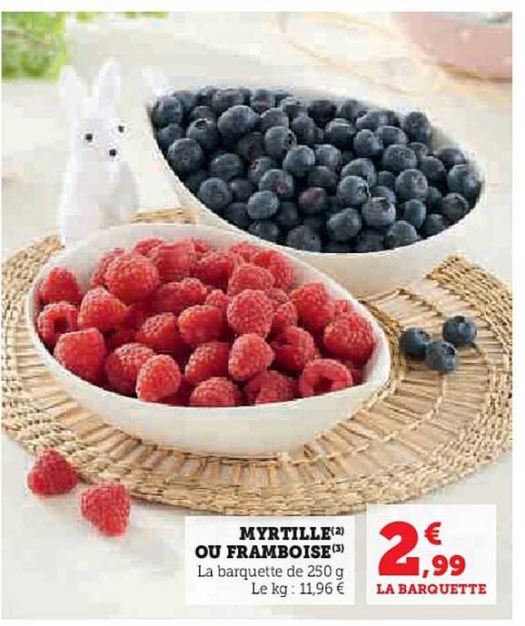 Myrtille Ou Framboise