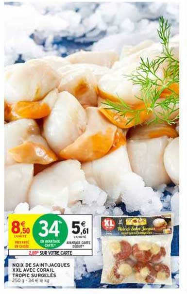 noix de saint-jacques xxl avec corail tropic surgelés
