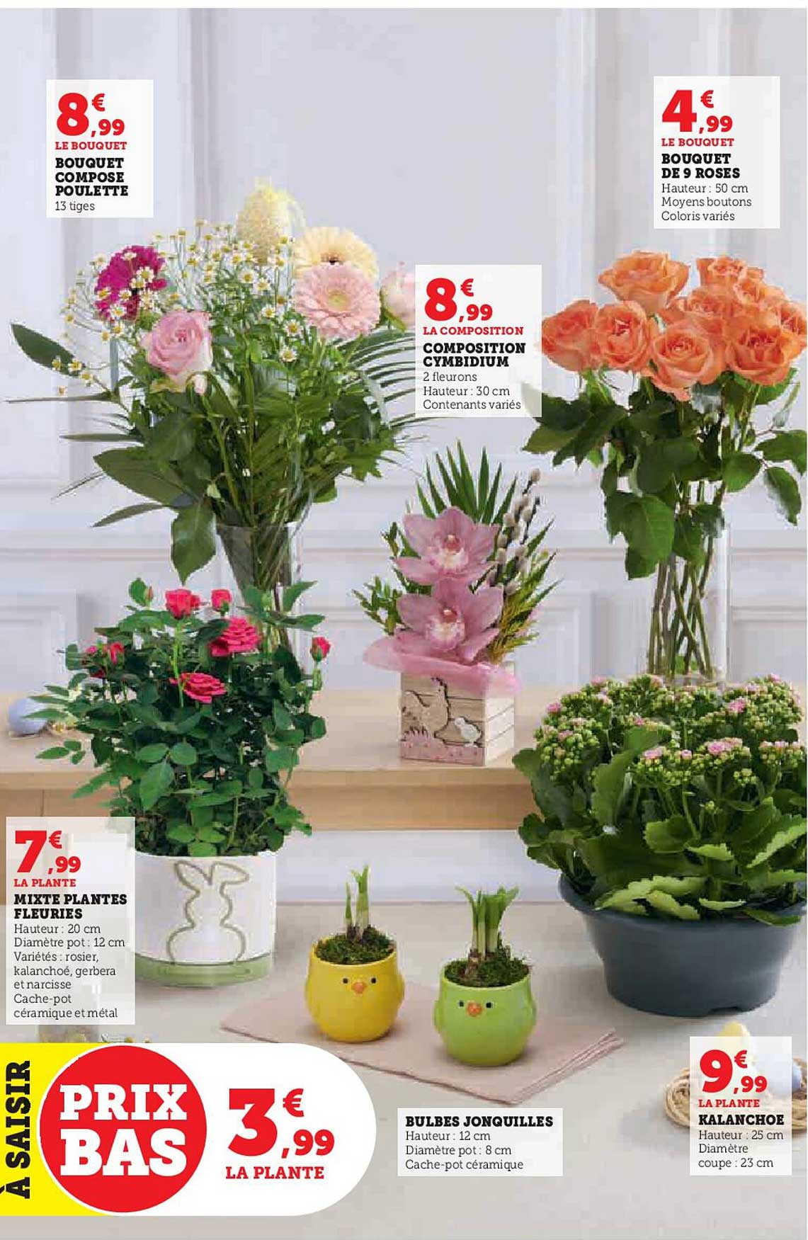 bouquet composé poulette, bouquet de 9 roses, composition cymbidium, mixte plantes fleuries, bulbes jonquilles, kalanchoe